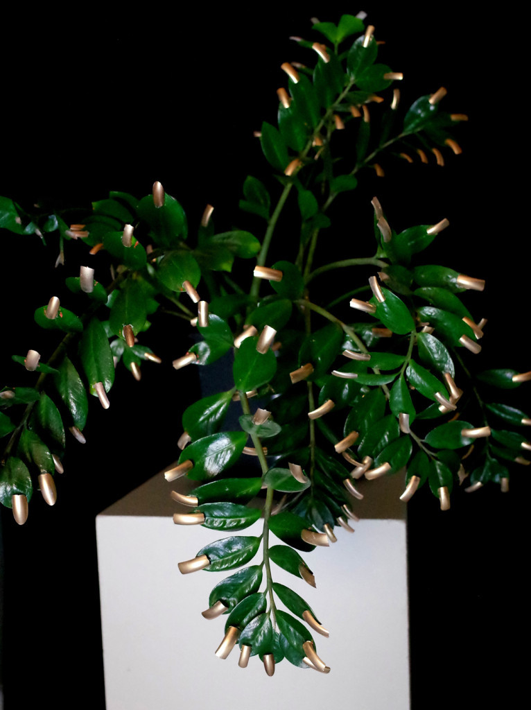 Phylloplastie, 2015, vue de l'exposition "Jardins d'hiver", la Graineterie, Houilles zamioculcas en pot, faux ongles ©photo Marie Denis